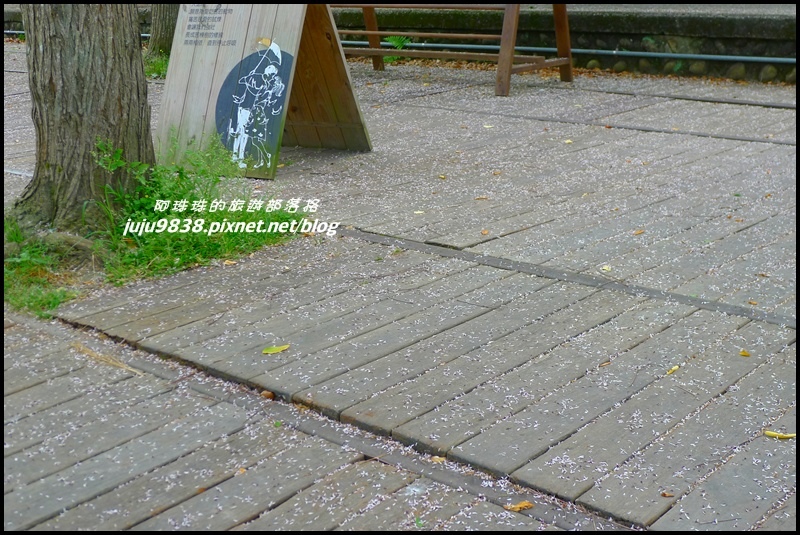 合興車站39.JPG 合興車站39.JPG