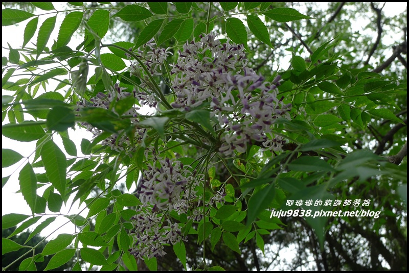 合興車站42.JPG 合興車站42.JPG