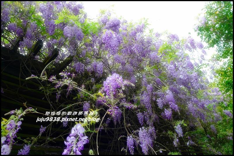 合興車站47.JPG 合興車站47.JPG