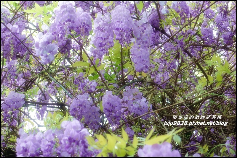 合興車站50.JPG 合興車站50.JPG