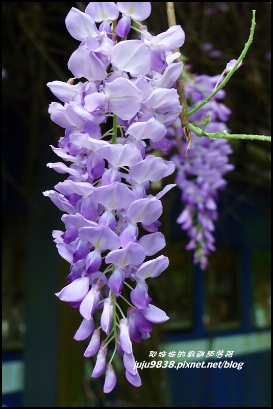 合興車站49.JPG 合興車站49.JPG