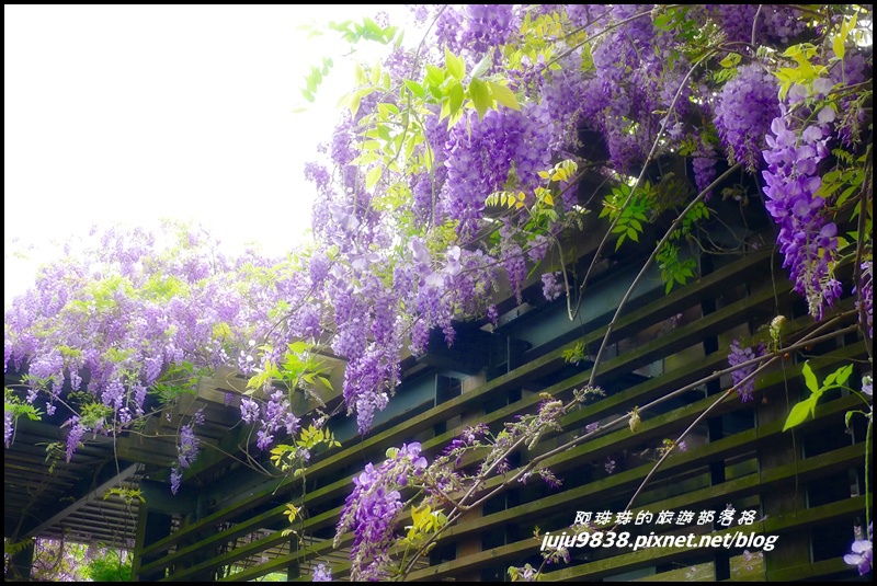 合興車站51.JPG 合興車站51.JPG