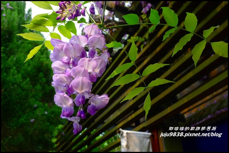 合興車站56.JPG 合興車站56.JPG