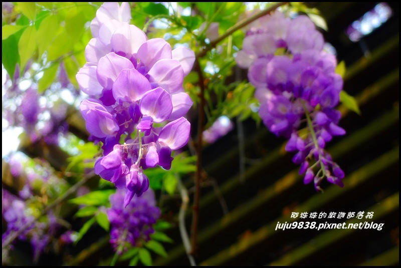 合興車站57.JPG 合興車站57.JPG