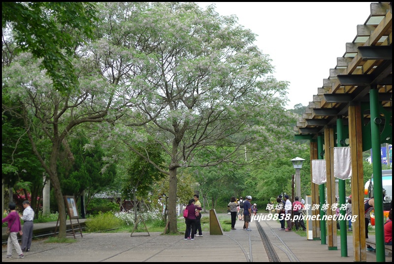 合興車站65.JPG 合興車站65.JPG