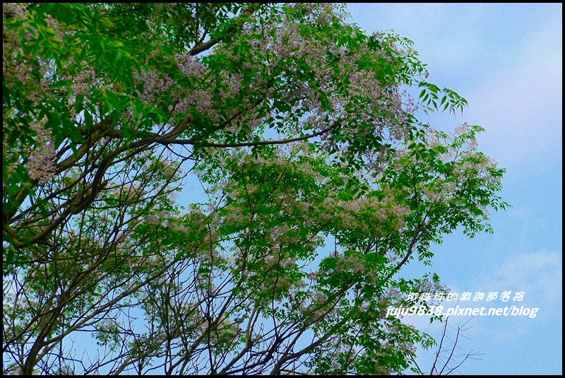 合興車站66.JPG 合興車站66.JPG