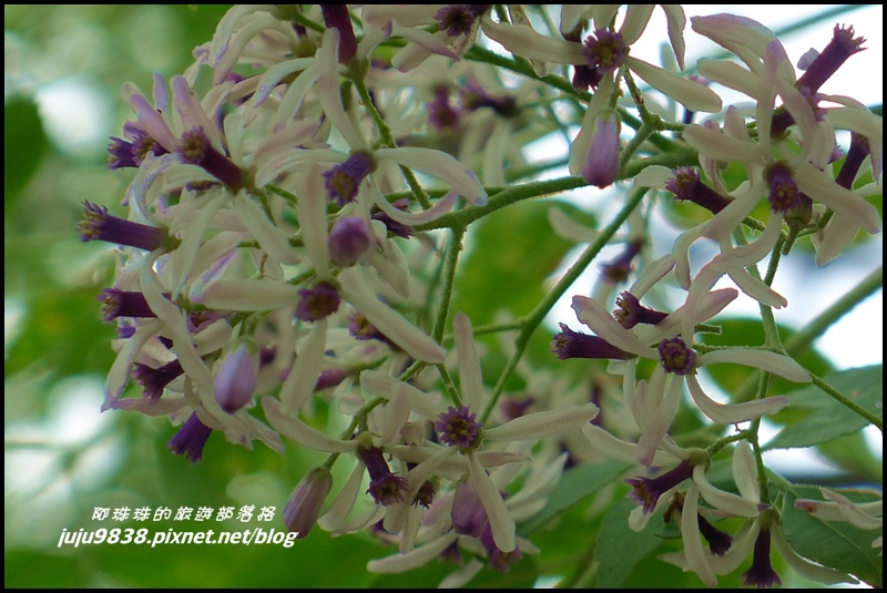 合興車站67.JPG 合興車站67.JPG