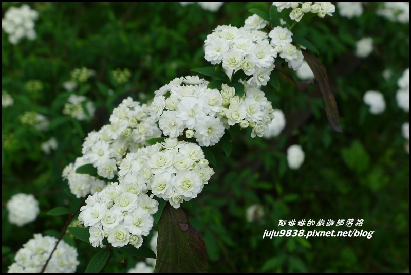 合興車站70.JPG 合興車站70.JPG