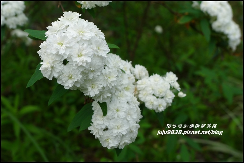 合興車站71.JPG 合興車站71.JPG