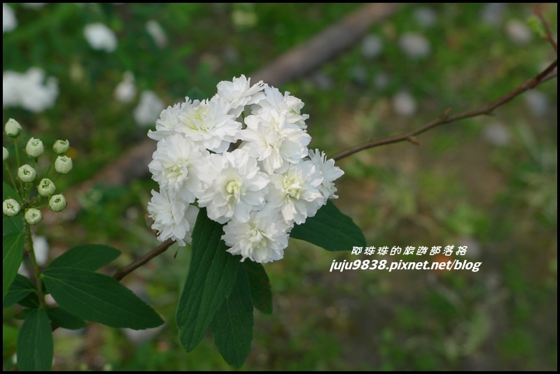 合興車站72.JPG 合興車站72.JPG