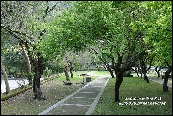 白楊步道1.JPG 白楊步道1.JPG