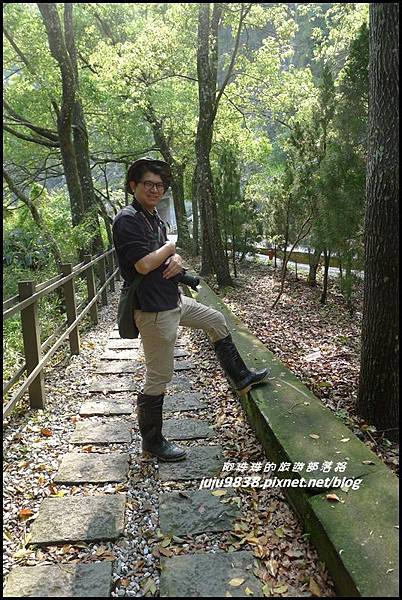 白楊步道5.JPG 白楊步道5.JPG