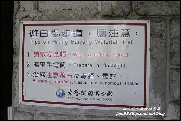 白楊步道7JPG.JPG 白楊步道7JPG.JPG