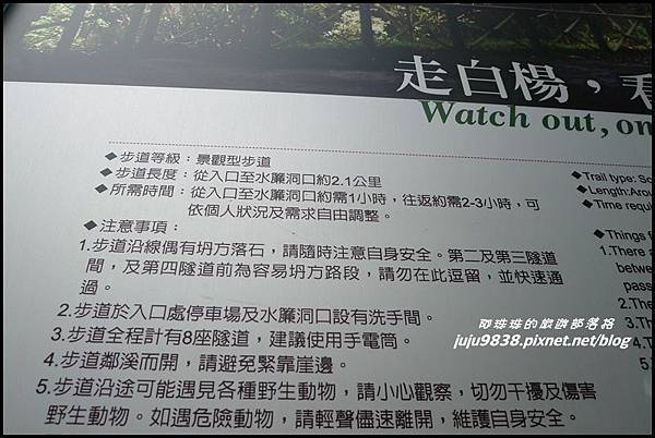 白楊步道12.JPG 白楊步道12.JPG