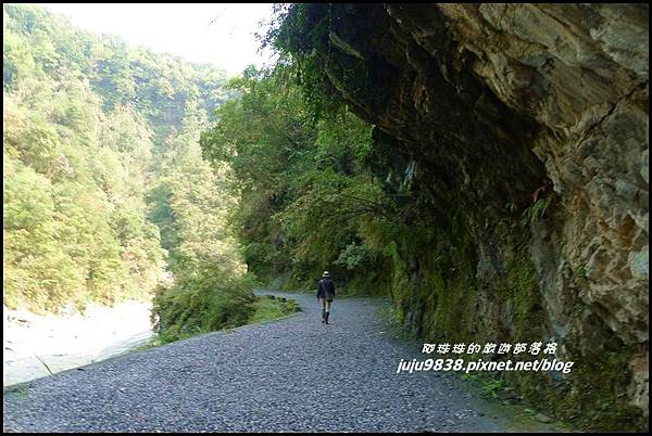 白楊步道13.JPG 白楊步道13.JPG