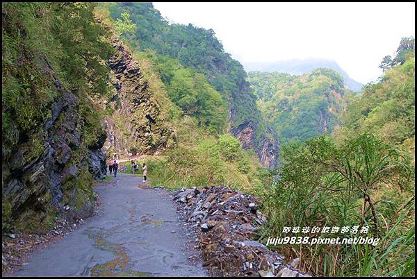 白楊步道20.JPG