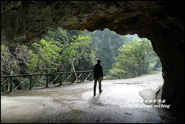 白楊步道22.JPG 白楊步道22.JPG