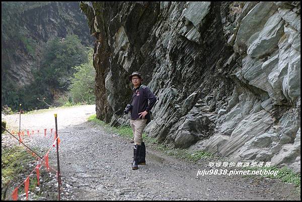白楊步道23.JPG