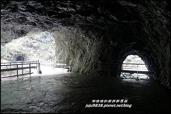 白楊步道25.JPG 白楊步道25.JPG