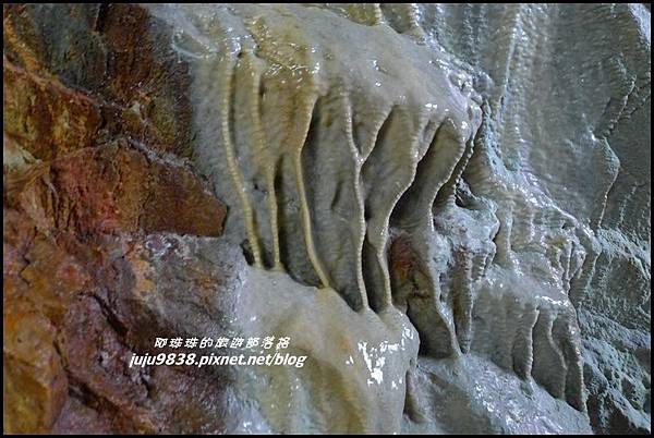 白楊步道28.JPG 白楊步道28.JPG