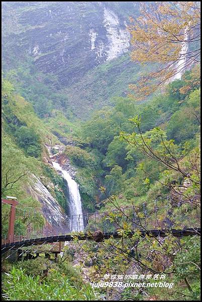 白楊步道27.JPG 白楊步道27.JPG