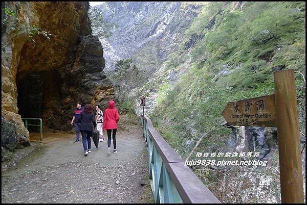 白楊步道29.JPG 白楊步道29.JPG