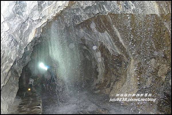 白楊步道32.JPG 白楊步道32.JPG