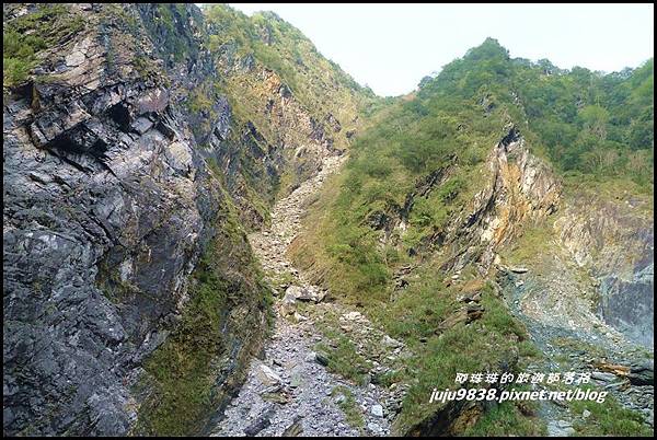 白楊步道35.JPG