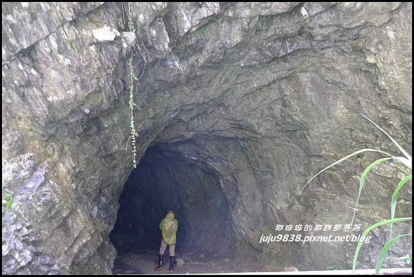 白楊步道36.JPG 白楊步道36.JPG