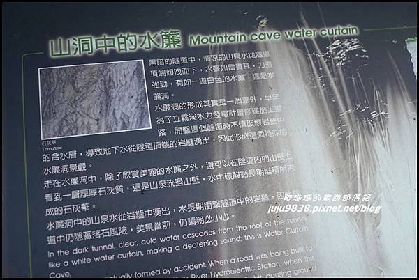 白楊步道38.JPG 白楊步道38.JPG