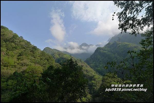 白楊步道41.JPG 白楊步道41.JPG