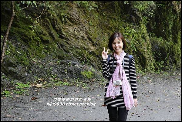 白楊步道48.JPG 白楊步道48.JPG