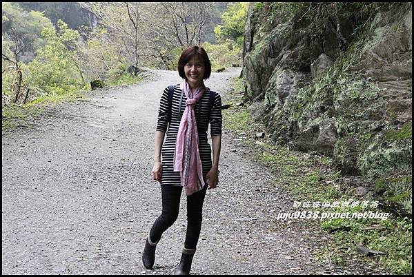 白楊步道50.JPG 白楊步道50.JPG