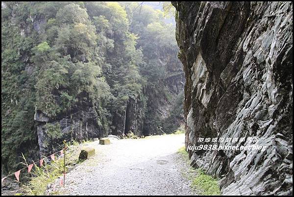 白楊步道53.JPG 白楊步道53.JPG