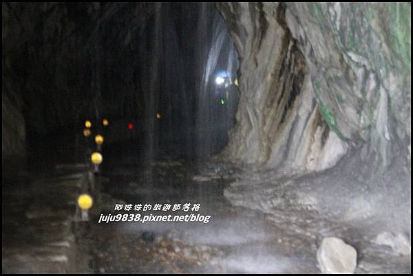 白楊步道54.JPG 白楊步道54.JPG