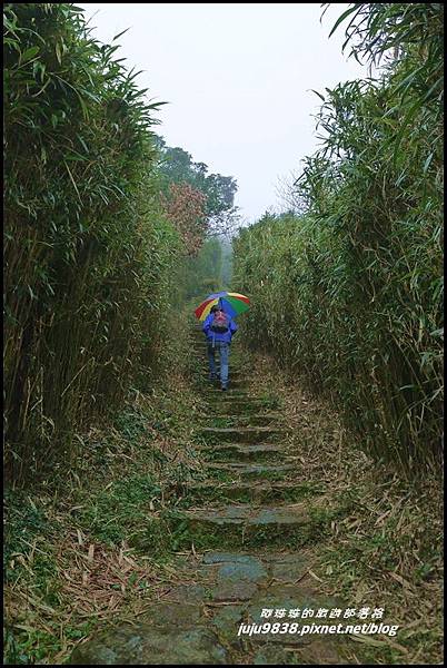 大屯山8.JPG 大屯山8.JPG