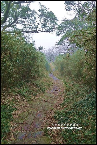 大屯山9.JPG 大屯山9.JPG