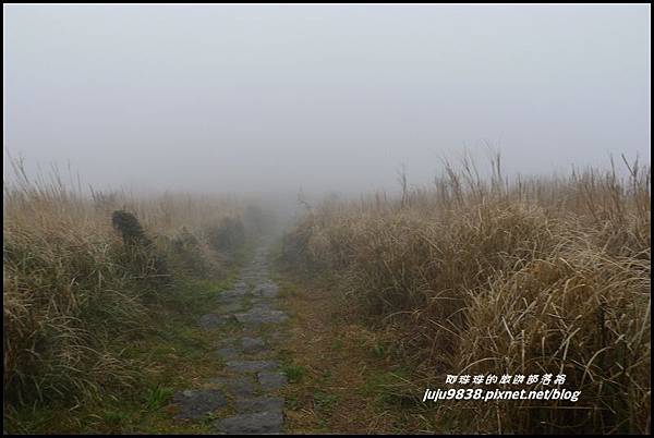 大屯山13.JPG 大屯山13.JPG