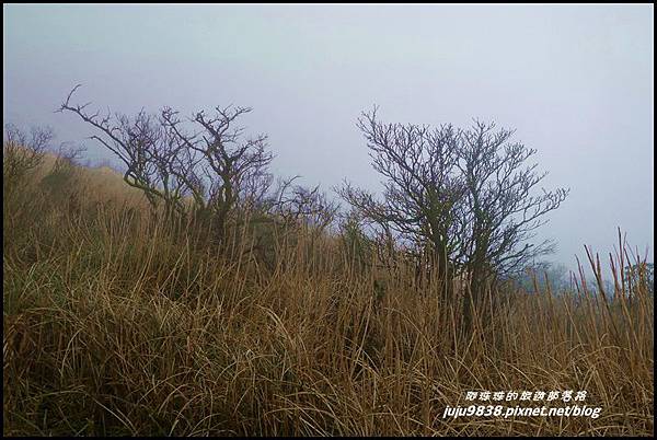 大屯山14.JPG 大屯山14.JPG