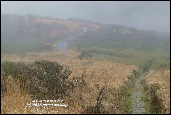 大屯山16.JPG 大屯山16.JPG