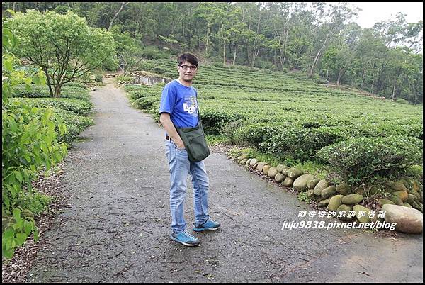 桐花走廊4.JPG 桐花走廊4.JPG