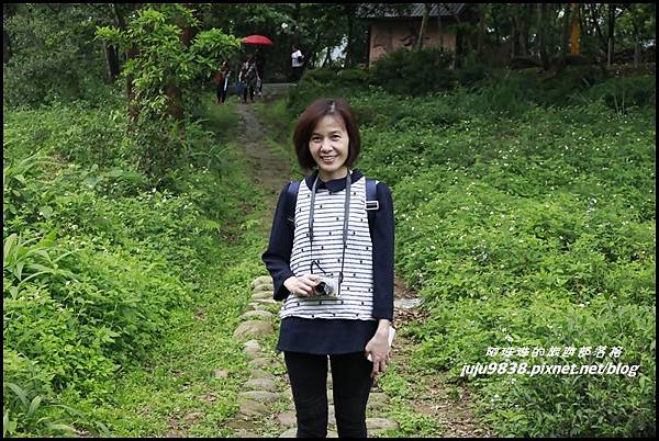 桐花走廊6.JPG 桐花走廊6.JPG