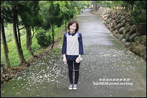 桐花走廊9.JPG 桐花走廊9.JPG