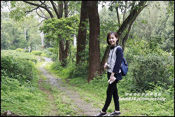 桐花走廊17.JPG 桐花走廊17.JPG