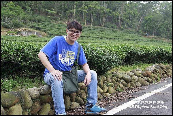 桐花走廊18.JPG 桐花走廊18.JPG