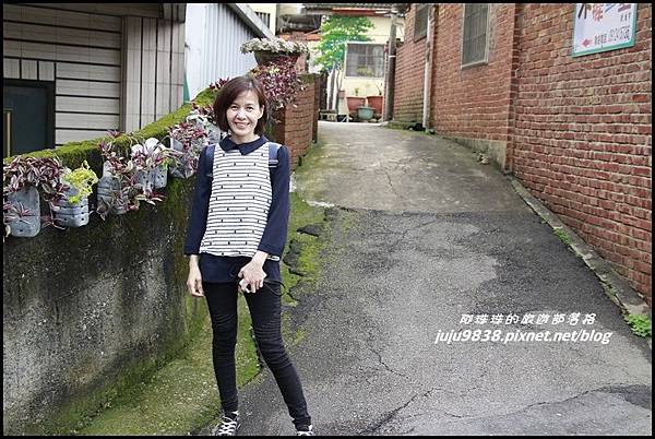 桐花走廊27.JPG 桐花走廊27.JPG