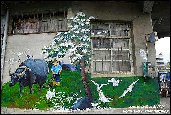 桐花走廊33.JPG 桐花走廊33.JPG