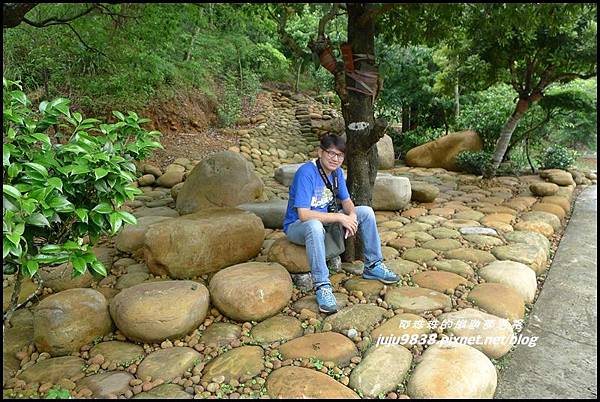 桐花走廊51.JPG 桐花走廊51.JPG