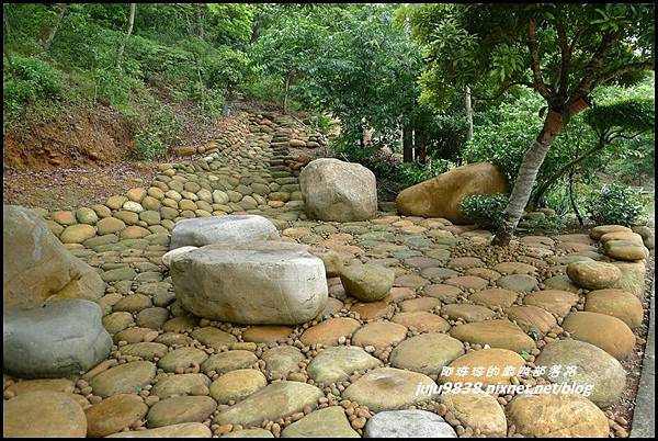 桐花走廊52.JPG 桐花走廊52.JPG