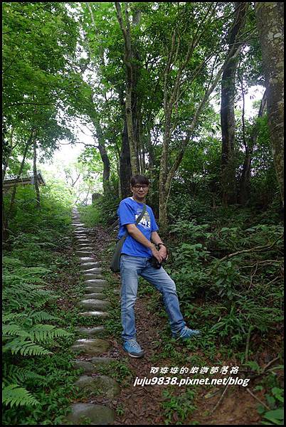 桐花走廊56.JPG 桐花走廊56.JPG